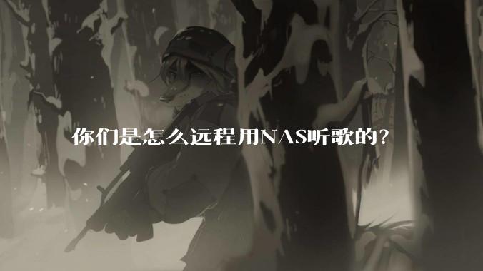 你们是怎么远程用NAS听歌的？
