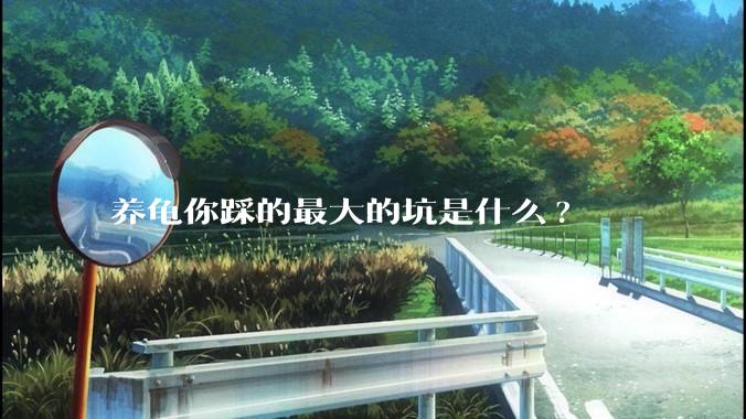 养龟你踩的最大的坑是什么?